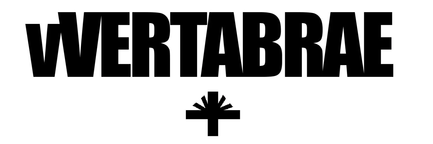 Vertabrae logo